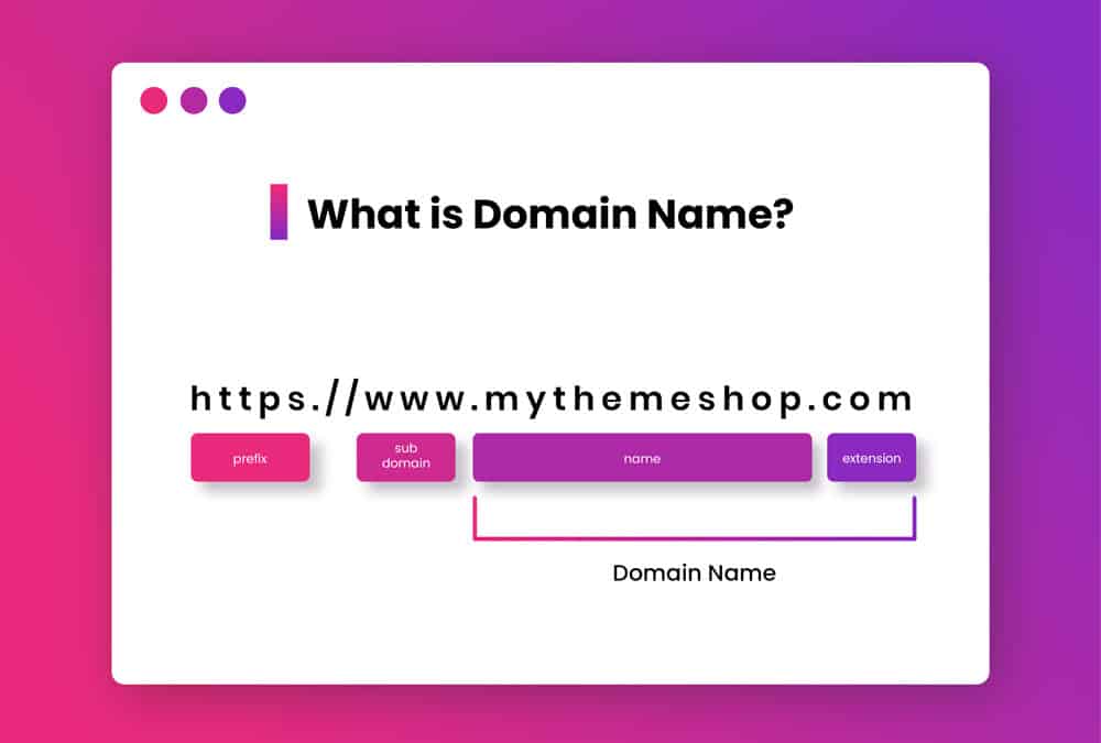 Choosing Your Domain Name URL
